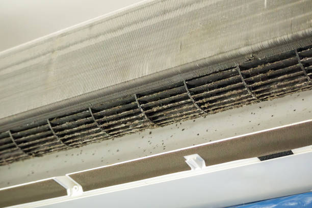 Best Air Vent Cleaning Services  in Morenci, AZ